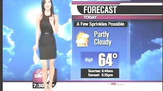 Gorgeous presenter on the LA television--_short_preview.mp4