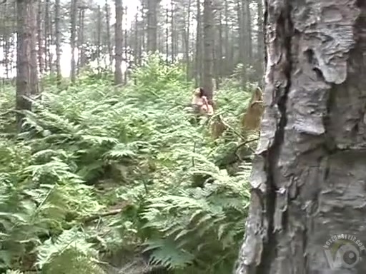 Curvy fairy penetrated in the forest by two nudist men