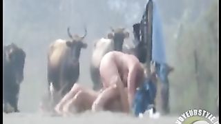 Bald man pounding his large-breasted lady in a pasture--_short_preview.mp4
