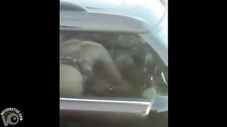 Trucker films a woman sucking penis in the car--_short_preview.mp4