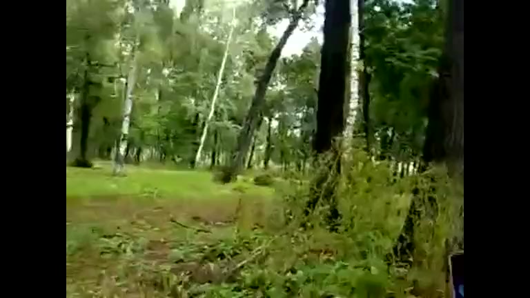 Woods are a great place to have some masturbation fun