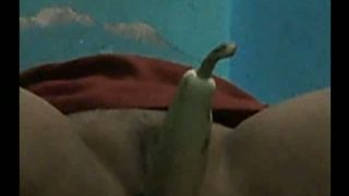 Horny man sticks vegetables in the pussy of his bhadhi wife--_short_preview.mp4