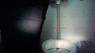 Pale skin busty lady in the toilet room drying her pussy--_short_preview.mp4
