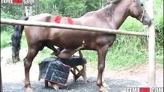 Horse giving pleasure blonde - Beastiality XXX--_short_preview.mp4