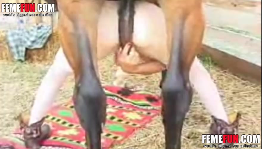 Horse Cock Throat