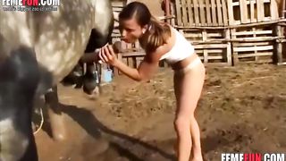 Horny young chick with a skinny body licks and sucks a horse's cock like insane--_short_preview.mp4