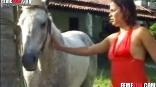 Slut in red lingerie provides her filthy twat to a horse's cock enjoying the hottest beastiality sex--_short_preview.mp4