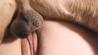 Woman taking cum in pussy on her knees--_short_preview.mp4