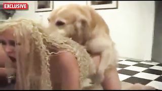 Woman having sex with free dog--_short_preview.mp4
