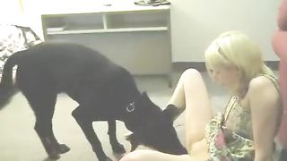 Videos of Brazilian zoophilia with woman giving dog--_short_preview.mp4