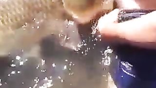 Free Videos animal sex with fish--_short_preview.mp4