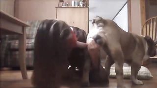 Video Erotic with animals and fat ass--_short_preview.mp4