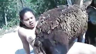 Women having sex with sheep--_short_preview.mp4