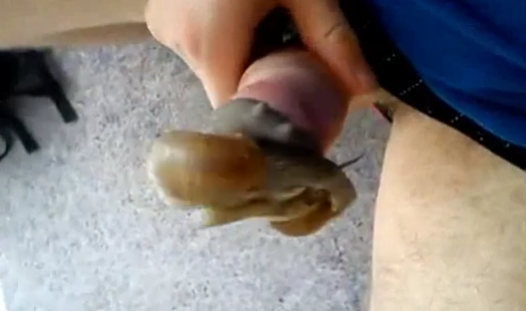 Man enjoying in the snail