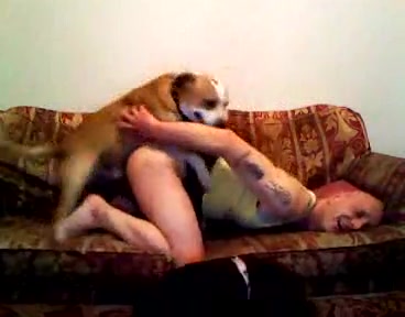 Gay having sex with two dogs