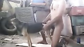 Porno gej animal seks