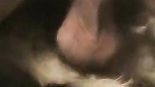 Man eats a bitch and then enjoys in.--_short_preview.mp4
