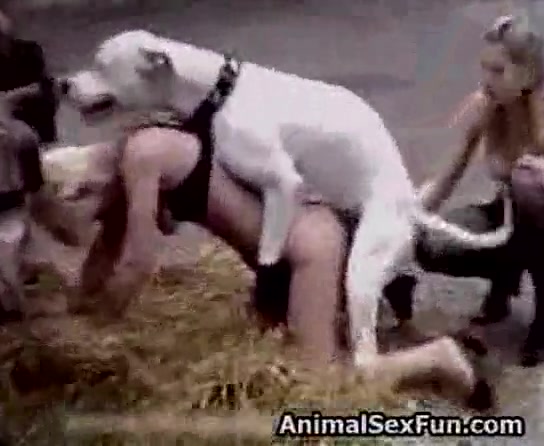 Porn movie of dog with married women
