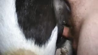 Man of the small cock fucking with the mare--_short_preview.mp4