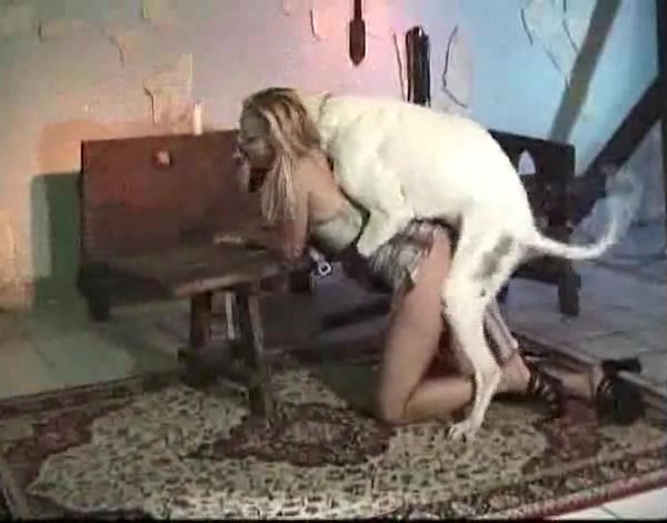 Brazilian woman having sex with dog