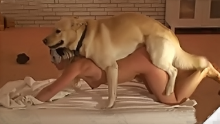 Porn Video XXX AS Girls Has Sex With Dog