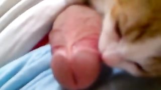 Gay giving the dick to the cat suck--_short_preview.mp4