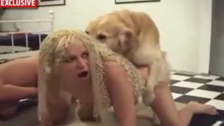 Sex between animals and women--_short_preview.mp4