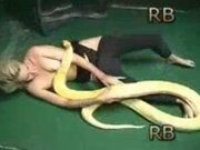 Old brave having sex with live snake